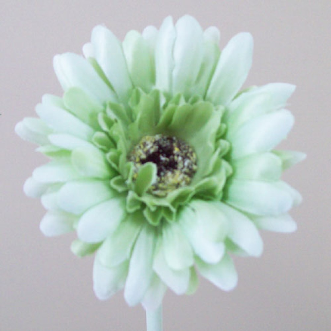Artificial Gerbera Mint Green Small 57cm Artificial Flowers